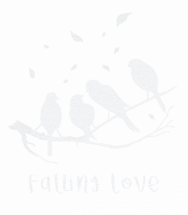 falling love