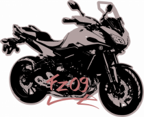 FZ-09 Motorcycle