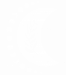 Fazele Lunii Moon Phases