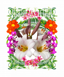 Respira Yoga Vibratii Design Cu Flori