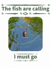 The fish are calling must go