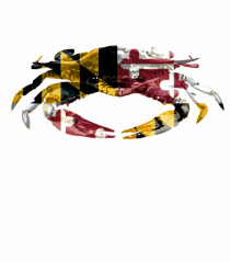 Flag Crab