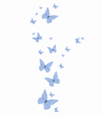 Un design cu fluturasi albastri