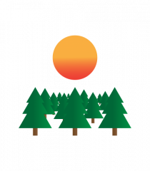 Forest Sunset