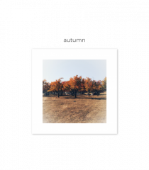 Autumn Frame