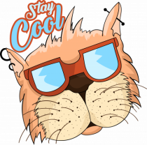 Stay cool Cat