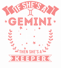 GEMINI