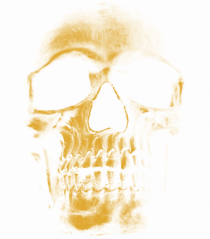 Golden Skull