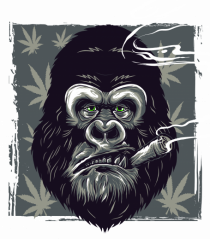 Gorilla Smoke Weed