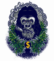 Gorilla Weed