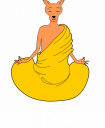 Guru Canguru