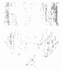 Gym Power