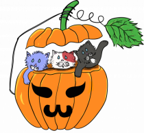 Cute halloween cats