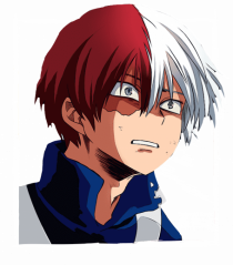 Shoto Todoroki