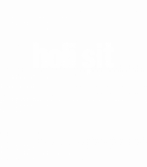 Holi Șit