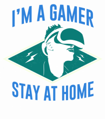 I'm A Gamer, Stay At Home