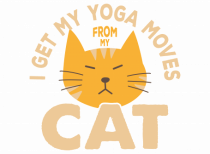 I Get My Yoga Moves From My Cat
