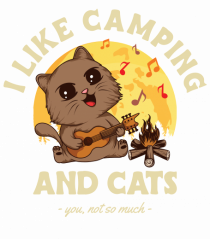 I like camping and cats