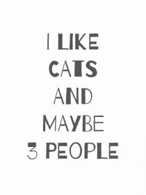 I Like Cats Design