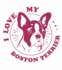 I Love My Boston Terrier