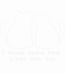 I Would Spend Nine Lives with You