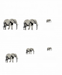 ELEPHANTS