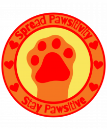 Stay 