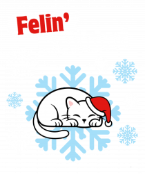 Funny Christmas Cat