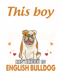 BULLDOG