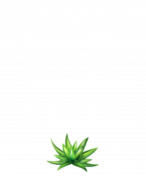 ALOE LADY