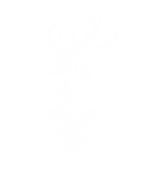 Spiritul Tăcut