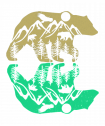 Mountain Bear