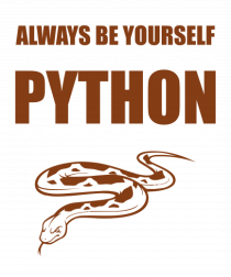 PYTHON
