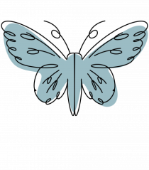 Abstract Butterfly