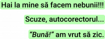 Autocorectorul