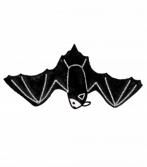 Bat