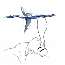 whale in minde