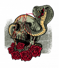 Cobra Skull