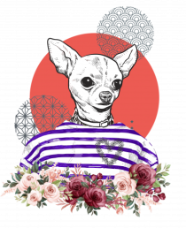 COOL Chihuahua