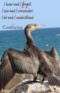 confucius mesaj