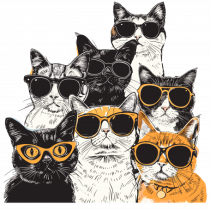 Cool Cat Squad