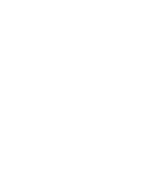 Cruise with us