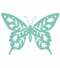 Fluture Dantela