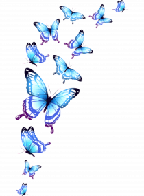 Free