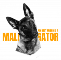 My best friend is a maligator
