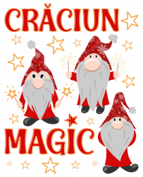 Craciun magic cu gnomi