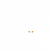 Halloween Cat