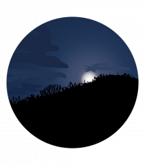 Photo Illustration - moon behind dark forest