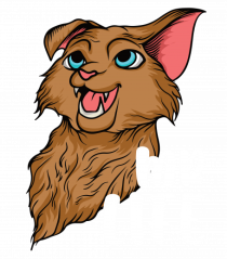Pentru cupluri - Mr Life - GoodLife1