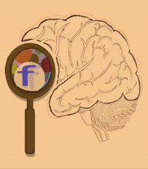 Our Brain - Creierul nostru !